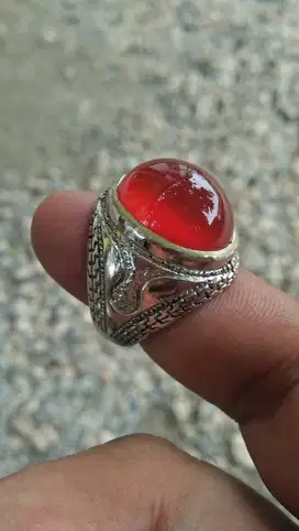 Cempaka Merah Bersih & Kristal Dim 17x12x7