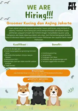 Lowongan Kerja Groomer Kucing dan Anjing Jakarta