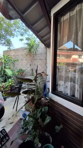 Rumah Lama Butuh Renovasi Dekat Jaksel Bintaro Sektor 4