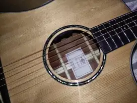 HEX STING D300CE G