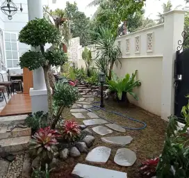 Jual aneka pohon dan perlengkapan taman