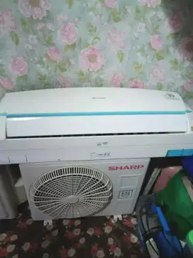 AC Sharp 1/2 PK Lowat Thailand Normal
