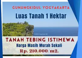 Dijual Tanah Murah Pantai Tebing Istimewa Gunungkidul Yogyakarta