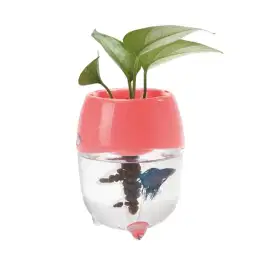 Aquarium akuarium ikan cupang aquaponic ace hardware