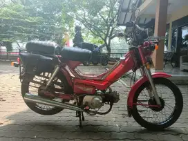 Jialing  kancil