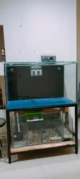 JUAL CEPAT AKUARIUM SIAP PAKAI