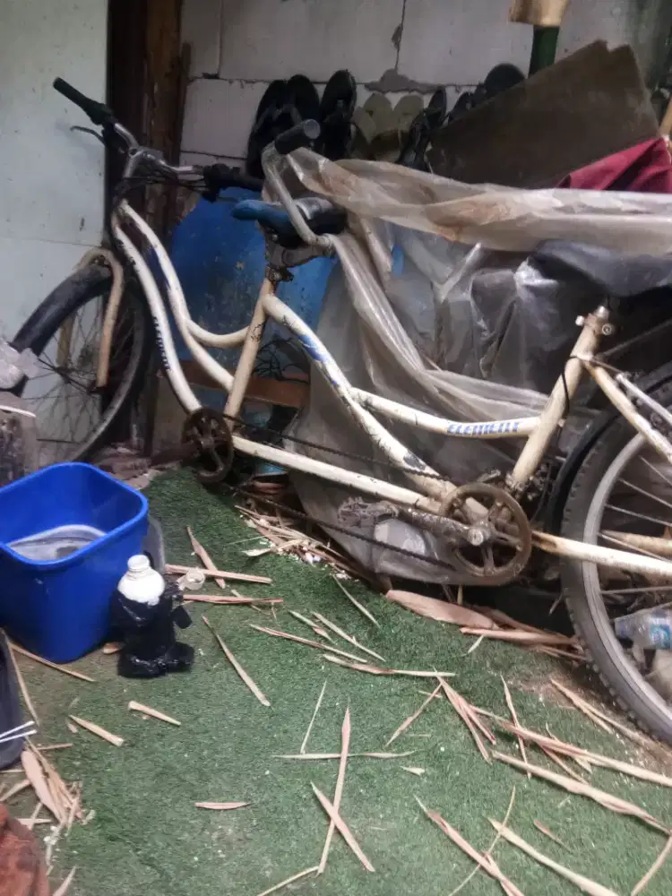 Sepeda tundem merk ELEMEN R 26