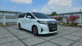 ALPHARD 2019 [20K KM ANTIK ]  SERVICE RECORD !!