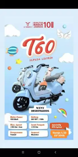 Sepeda Listrik U Winfly T60