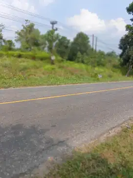 DIJUAL CEPAT TANAH SHM PINGGIR JALAN LINTAS