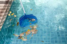 Dibutuhkan Petugas Lapangan Untuk Perawatan Kolam Renang