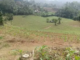 Dijual Tanah Lahan pertanian berada di bawah kaki Gunung salak