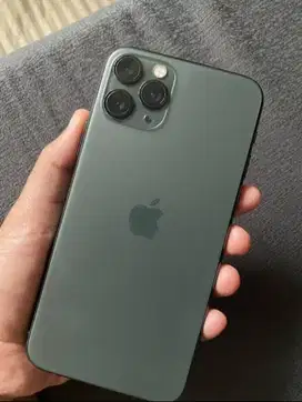 iphone 11 pro max 256 midnight green