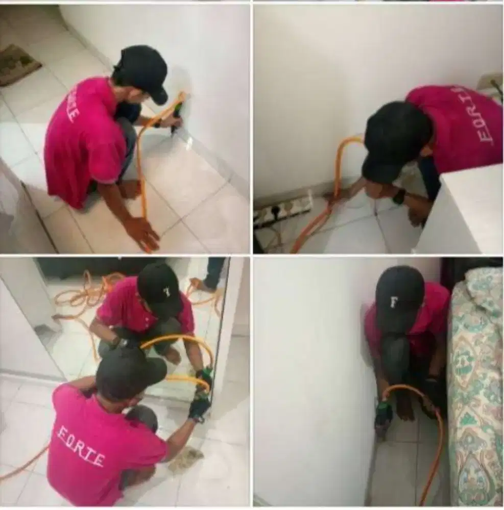 Jasa Anti Rayap Terpercaya
