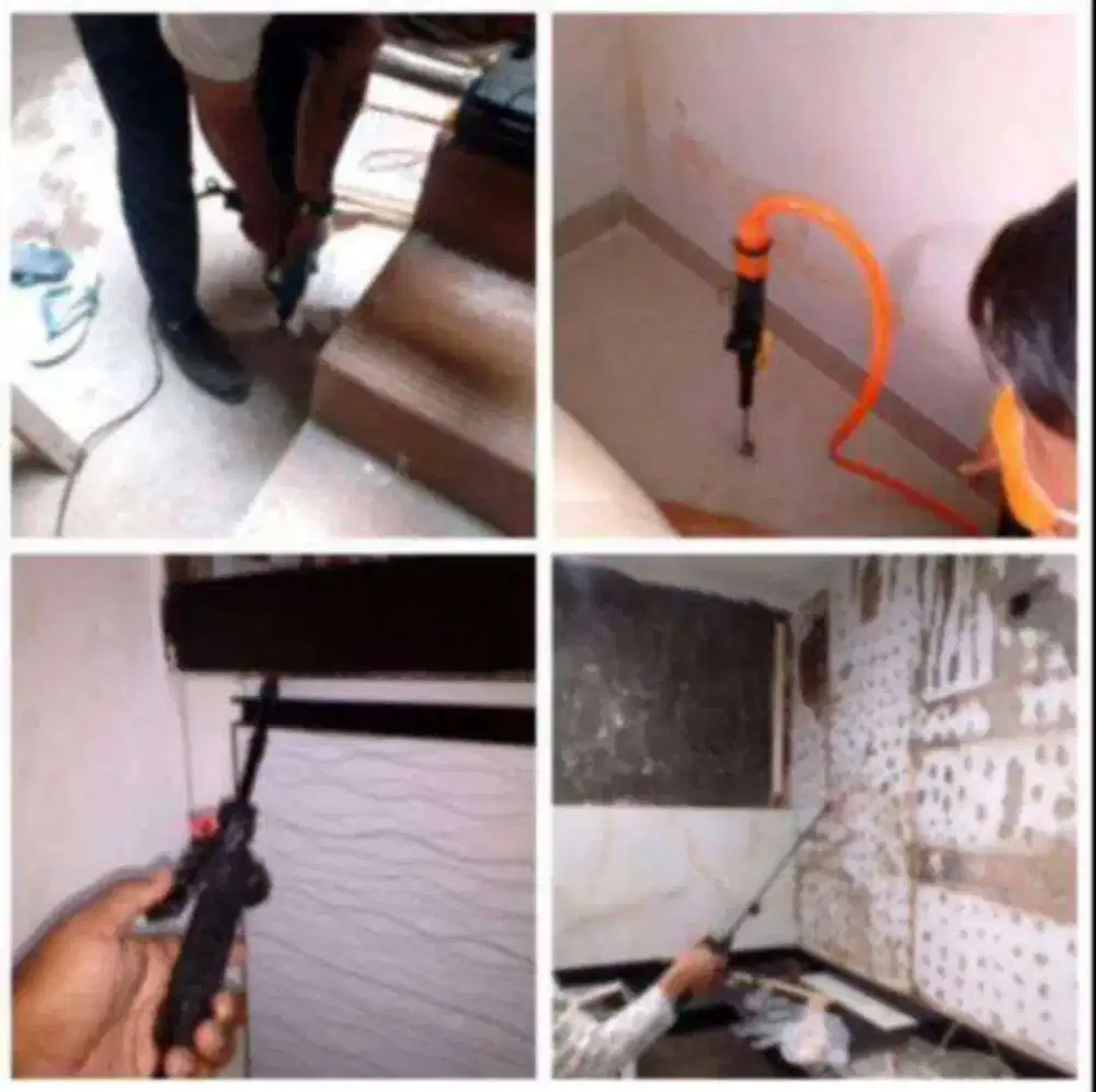 Jasa Anti Rayap Jakarta Bergaransi