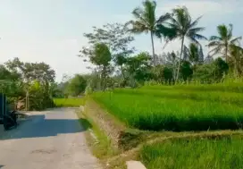 Dijual sawah super pinggir jalan utama jalur angkot