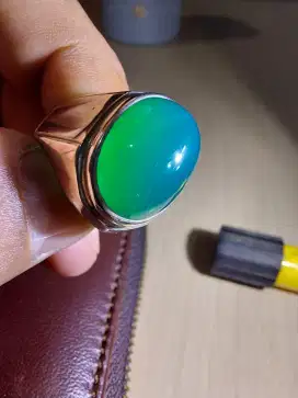 BACAN DOKO GULAU