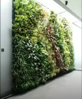 Jual dan jasa pembuatan taman vertikal garden murah