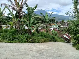 Dijual tanah tawangmangu