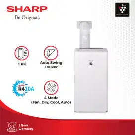 AC Portable 1 PK CV-P10ZCY