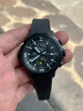 JAM TANGAN IWC CHARLES DARWIN