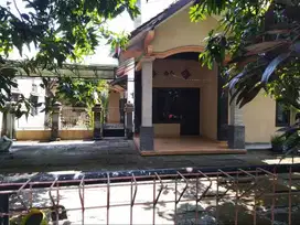 Disewakan Rumah Srategis Nyaman Kota Sragen