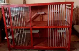 Kandang kucing kayu