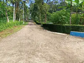 Dijual tanah dekat kantor desa dimojogedang