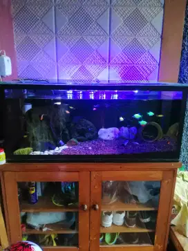 Aguarium di jual