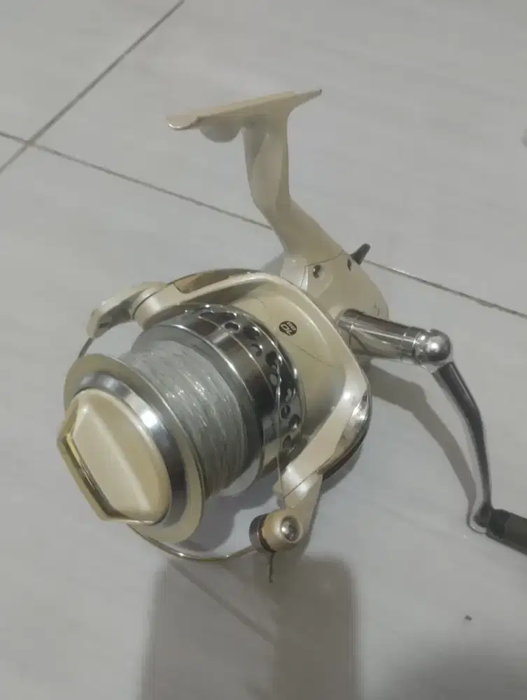 Cabela's Salt striker SS80