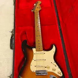 Fender Standard Stratocaster With Brown Sunburts Mexico