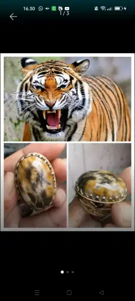 Batu motif loreng macan