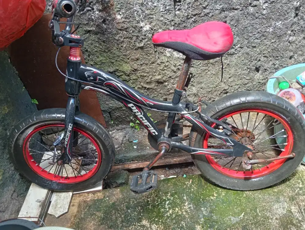 Sepeda bekas  dijual cepat facifik