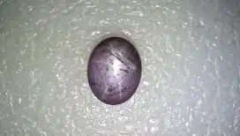 Natural Star Purple Sapphire 6 Rays 25.30 Ct Unik