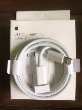 kabel cas iphone type c to lightning