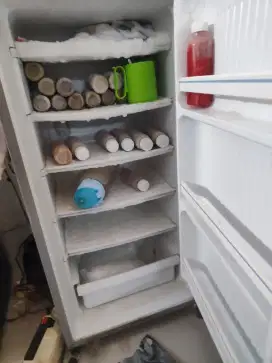 Standing freezer