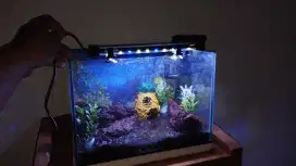 Aquarium Aquascape fullsett 30x20x20