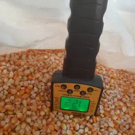 Grain Moisture Meter Alat Pengukur Kadar Air Curah Jagung Beras Gandum