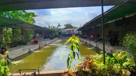 Loker kolam pemancingan galatama