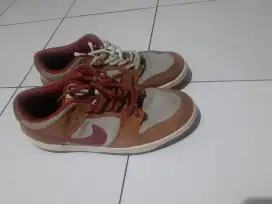 Nike SB Dunk Orange