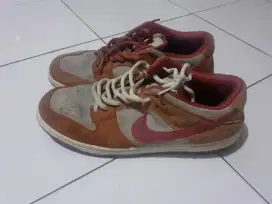 Nike SB Dunk Orange