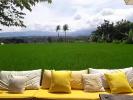 Di jual Villa Sawah Kebun