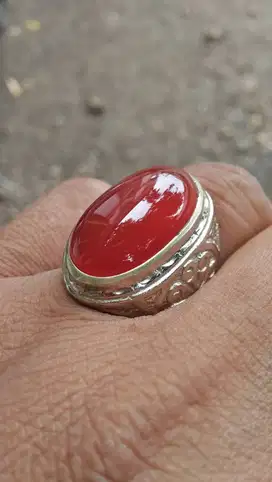 Cempaka Merah Dim 22x19x5