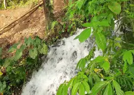 Tanah Kebun Di Penebel Bali Hanya 15 Menit Ke Jatiluwih