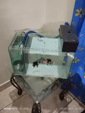 Di jual aquarium 1 set