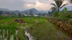 Sawah siap dibangun villa+rumah+glamping sangat strategis view lepas