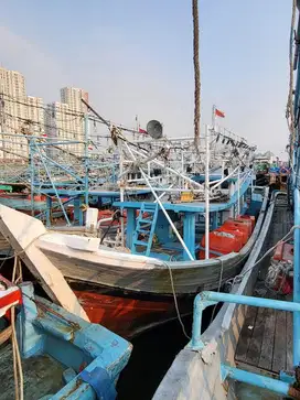 Kapal Ikan/Cumi/Udang Kapasitas 30 ton sd 50 ton