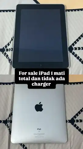 Ipad 1 wifi only 16 gb