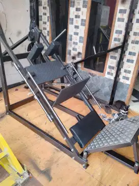 leg press and squat 45
