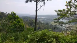 Tanah darat sangat strategis view lepas untuk villa+kebun investasi